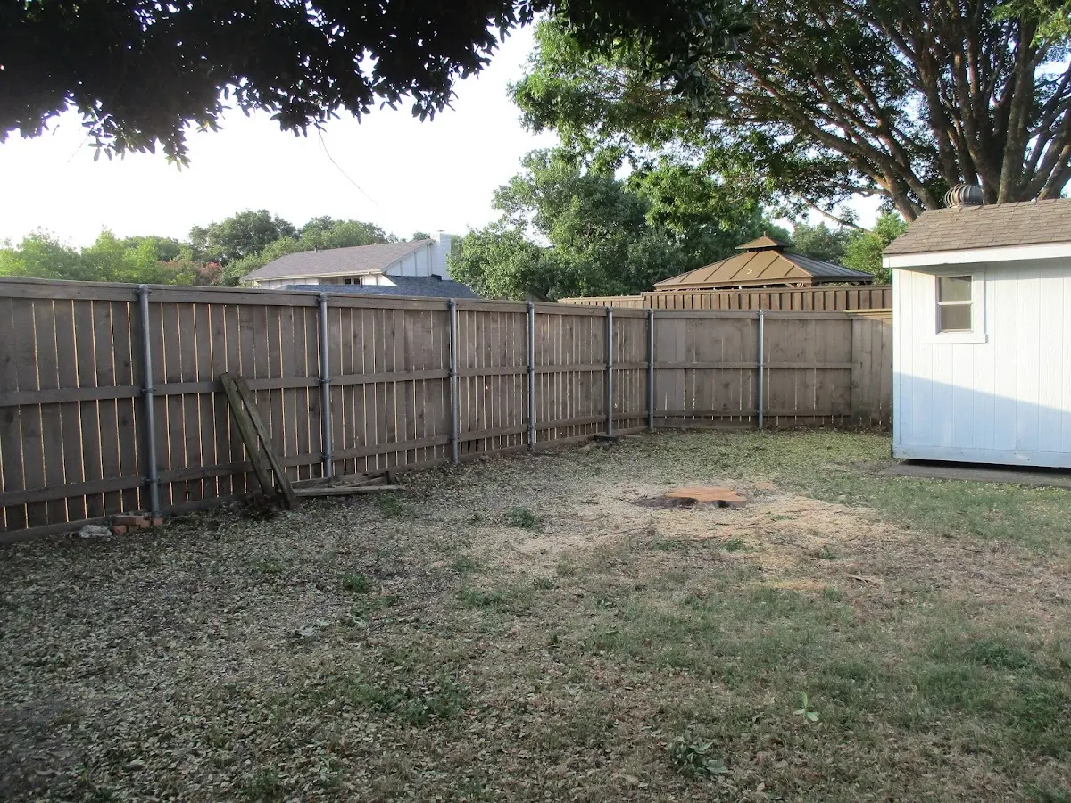 Cleared yard after professional tree removal in Kailua